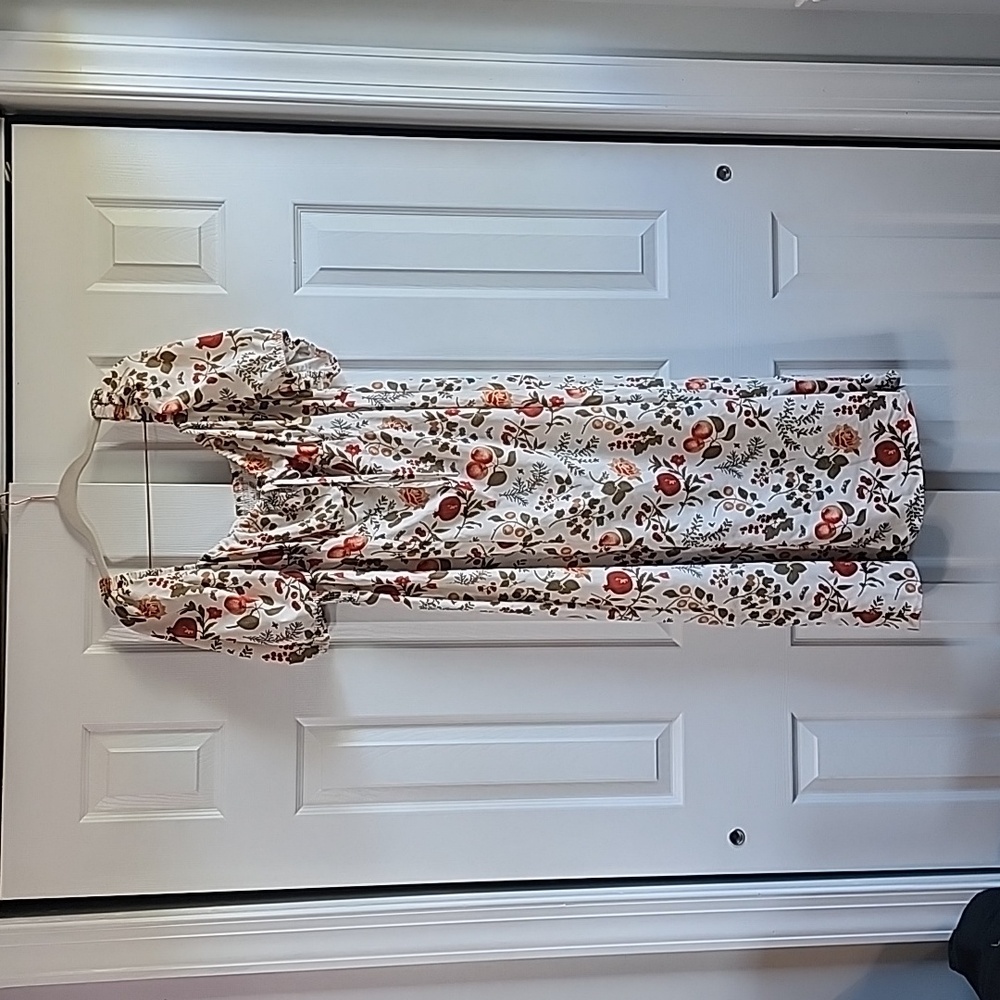 Cider 2x fruit dress
